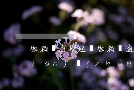 微粒貸逾期起訴 微粒貸逾期起訴立案標(biāo)準(zhǔn)