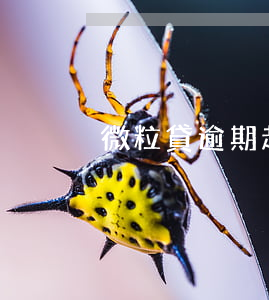 微粒貸逾期起訴期多久(微粒貸欠款多久起訴)