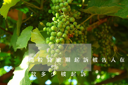 微粒貸逾期起訴被告人在哪里起訴(微粒貸欠款多少被起訴)