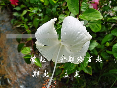 微粒貸逾期跨省起訴法院不受理-微粒貸逾期起訴立案標準