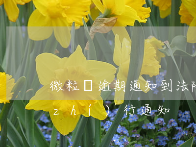 微粒貸逾期通知到法院開庭(微粒貸逾期執(zhí)行通知)