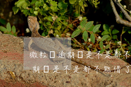微粒貸逾期過是不是都不能借了-微粒貸逾期過是不是都不能借了呢