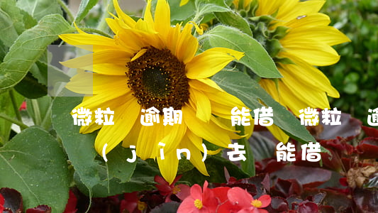微粒貸逾期過還能借嗎(微粒貸逾期過兩天還進(jìn)去還能借嗎)