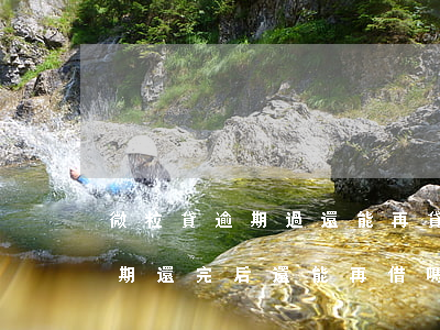 微粒貸逾期過還能再貸嗎(微粒貸有過一次逾期還完后還能再借嗎)