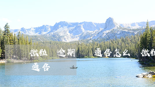 微粒貸逾期違約通告怎么辦（微粒貸逾期違約通告）