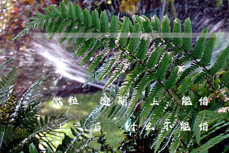 微粒貸逾期還上還能借嗎(微粒貸逾期兩天還上之后為什么不能借錢)