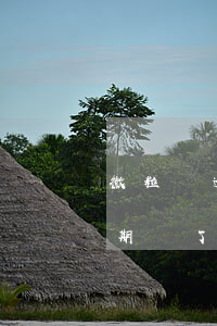 微粒貸逾期還了還需要還全款嗎-微粒貸逾期還了還需要還全款嗎怎么辦