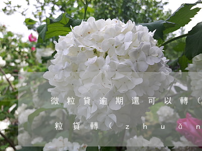 微粒貸逾期還可以轉(zhuǎn)賬嗎(微粒貸轉(zhuǎn)賬還款)