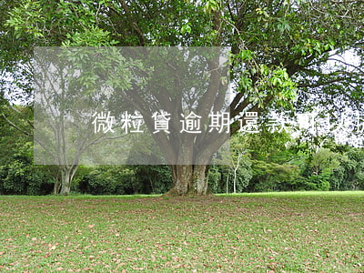 微粒貸逾期還款可以協(xié)商嗎