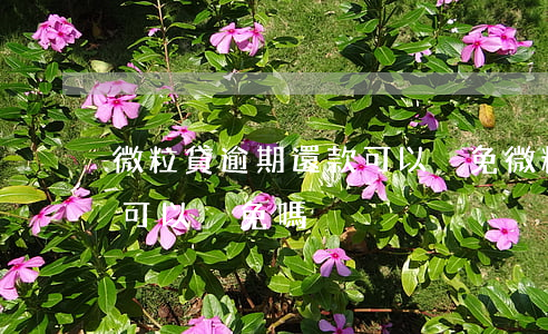 微粒貸逾期還款可以減免(微粒貸逾期違約金可以減免嗎)