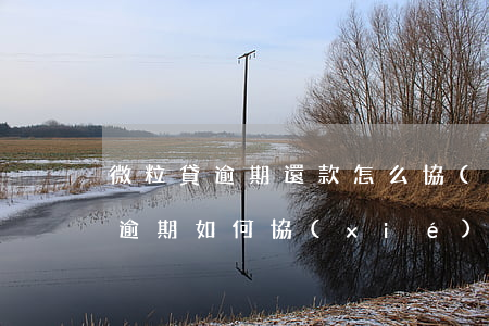 微粒貸逾期還款怎么協(xié)商(微粒貸逾期如何協(xié)調(diào))
