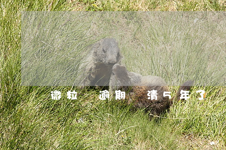 微粒貸逾期還清5年了還不能用