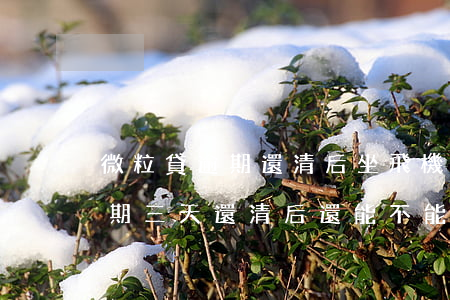 微粒貸逾期還清后坐飛機(jī)(微粒貸逾期三天還清后還能不能借出來(lái))