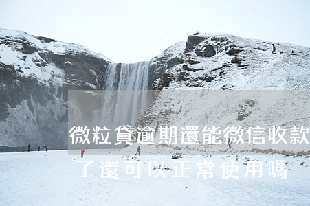 微粒貸逾期還能微信收款(微粒貸逾期了還清了還可以正常使用嗎?)