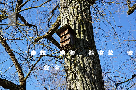 微粒貸逾期還能收款嗎(微粒貸逾期還能收款嗎安全嗎)
