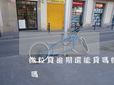 微粒貸逾期還能貸嗎(微粒貸逾期了還能借出嗎)