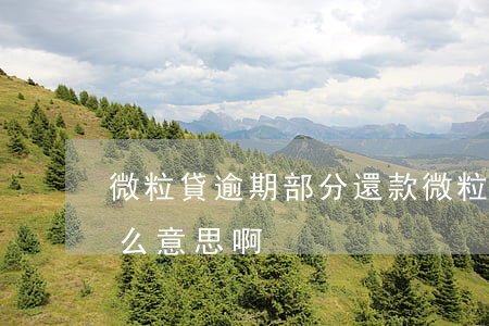 微粒貸逾期 部分還款(微粒貸逾期部分還款什么意思啊)