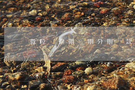 微粒貸逾期長期分期還款(微粒貸是分期還款嗎)