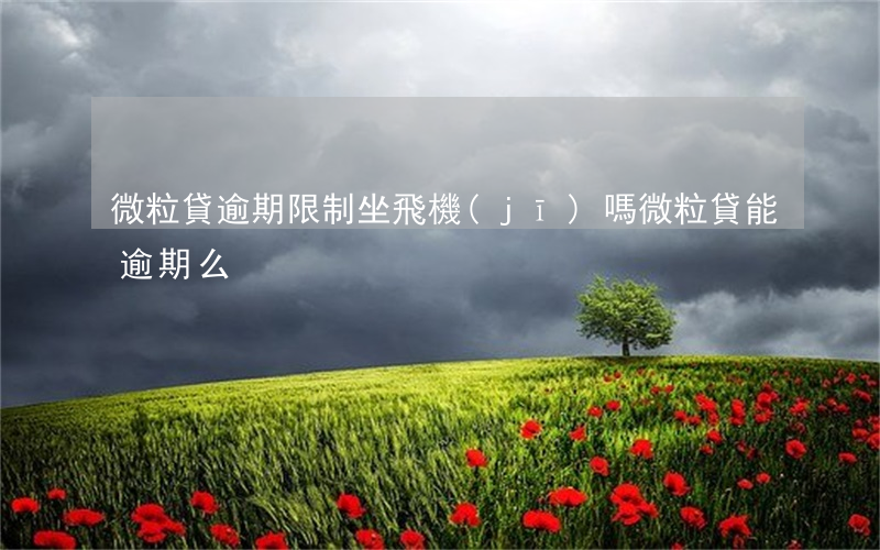 微粒貸逾期限制坐飛機(jī)嗎(微粒貸能逾期么)