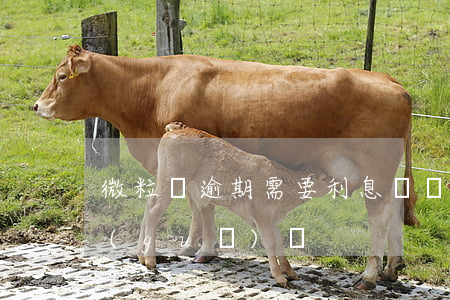 微粒貸逾期需要利息費嗎(微粒貸逾期利息規(guī)則)