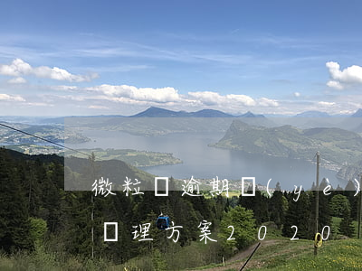 微粒貸逾期頁(yè)面圖片-微粒貸逾期處理方案2020