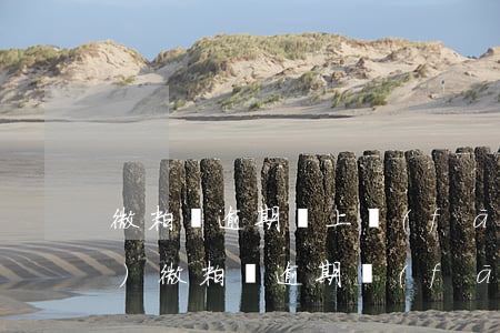 微粒貸逾期馬上發(fā)微信來(lái)(微粒貸逾期發(fā)短信說(shuō)這幾天上門真的假的)