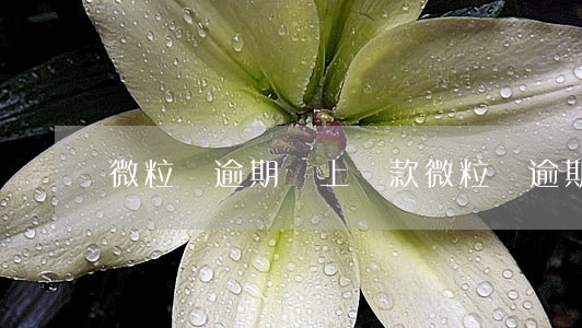 微粒貸逾期馬上還款 微粒貸逾期馬上還款了
