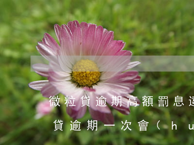微粒貸逾期高額罰息違規(guī)嗎(微粒貸逾期一次會(huì)被限制嗎)