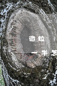 微粒貸還一半怎么不能提前還款-微粒貸還一半怎么不能提前還款了