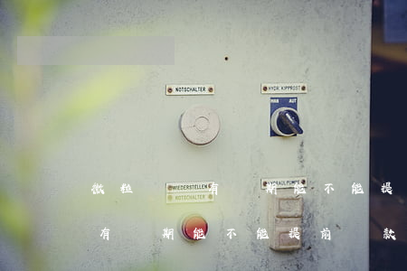 微粒貸還有兩期能不能提前還款-微粒貸還有兩期能不能提前還款呢
