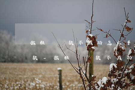 微粒貸還款不成功怎么手動(dòng)還款-微粒貸還款不成功怎么手動(dòng)還款呢