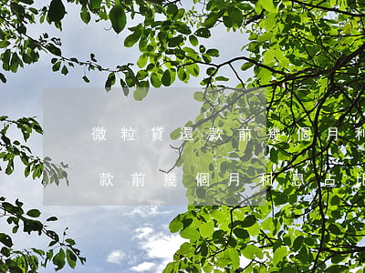 微粒貸還款前幾個月利息占比高-微粒貸還款前幾個月利息占比高怎么辦