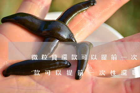 微粒貸還款可以提前一次性還嗎-微粒貸還款可以提前一次性還嗎怎么還