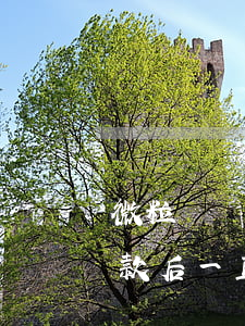 微粒貸還款后一直不能借貸原因-微粒貸還款后一直不能借貸原因是什么