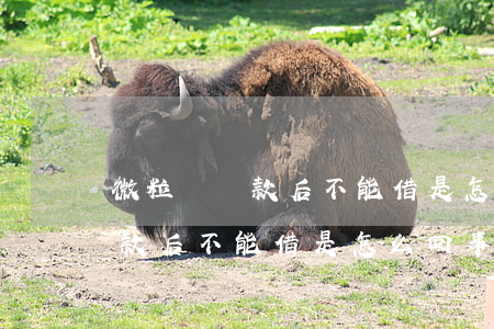 微粒貸還款后不能借是怎么回事-微粒貸還款后不能借是怎么回事呢