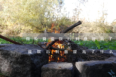 微粒貸還款后利息提高了什么原因-微粒貸還款后利息提高了什么原因呢
