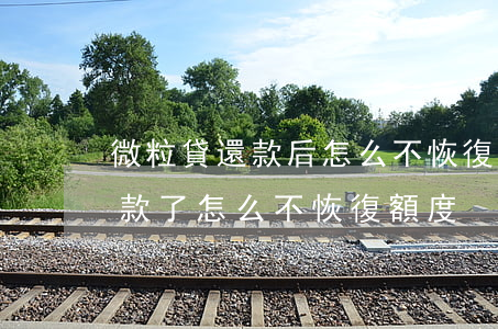 微粒貸還款后怎么不恢復額度的-微粒貸還款了怎么不恢復額度