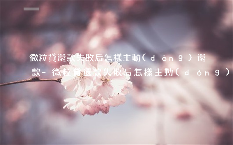 微粒貸還款失敗后怎樣主動(dòng)還款-微粒貸還款失敗后怎樣主動(dòng)還款呢