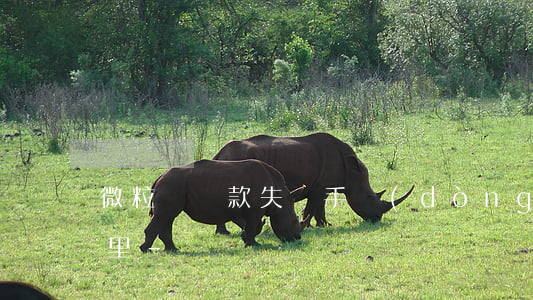 微粒貸還款失敗手動(dòng)還款在哪里-