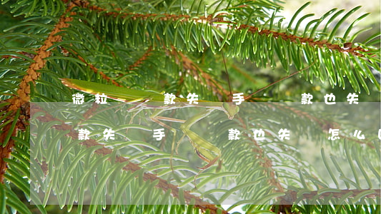 微粒貸還款失敗手動還款也失敗-微粒貸還款失敗手動還款也失敗怎么回事