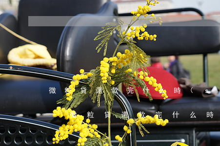 微粒貸還款完什么時(shí)候可以再借-微粒貸還款完什么時(shí)候可以再借錢