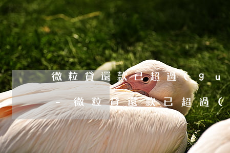 微粒貸還款已超過(guò)日期怎么還款-微粒貸還款已超過(guò)日期怎么還款呢