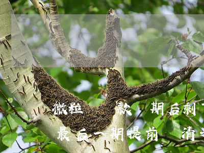 微粒貸還款幾期后剩下的提前還款-微粒貸最后一期提前還清之后還有額度嗎?