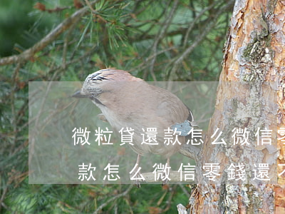微粒貸還款怎么微信零錢還不了-微粒貸還款怎么微信零錢還不了呢
