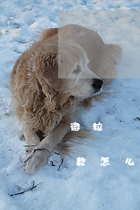 微粒貸還款怎么更改還款銀行卡-微粒貸還款怎么更改還款銀行卡號