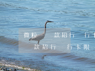 微粒貸還款招行銀行卡限額怎么辦-微粒貸還款招行銀行卡限額怎么辦理