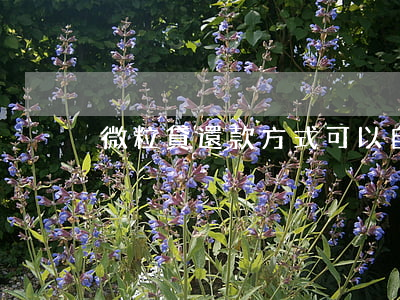 微粒貸還款方式可以自己選擇嗎-