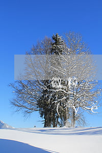 微粒貸還款日子到了沒(méi)有還款頁(yè)面-微粒貸還款日子到了沒(méi)有還款頁(yè)面怎么辦