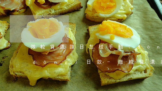 微粒貸還款日怎樣手動(dòng)還當(dāng)日款-微粒貸還款日怎樣手動(dòng)還當(dāng)日款呢