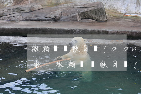 微粒貸還款日當(dāng)天怎么手動還款-微粒貸還款日當(dāng)天怎么手動還款?